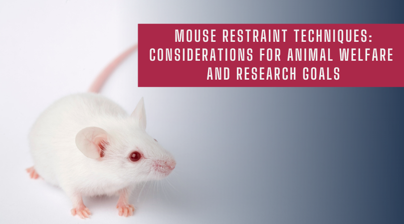 老鼠限制技术对动物福利的考虑和研究目标
