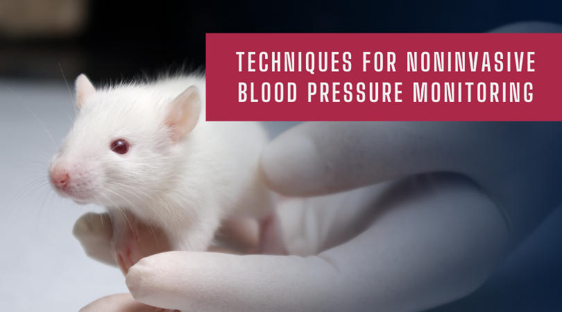 无创血压监测技术